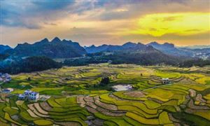 數(shù)字鄉(xiāng)村行業(yè)發(fā)展?jié)摿Ψ治稣{(diào)研報(bào)告2023