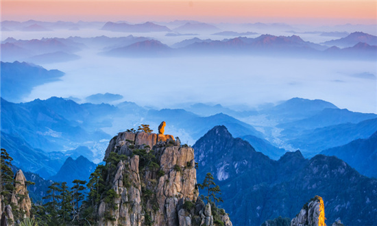旅游攝影行業(yè)發(fā)展趨勢(shì)及市場(chǎng)現(xiàn)狀分析