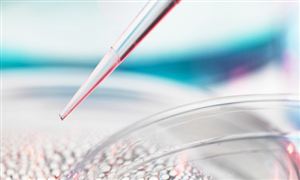 醫(yī)藥行業(yè)投資分析 生物分子試劑發(fā)展前景投資分析2023