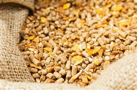 2023飼料添加劑行業(yè)發(fā)展現(xiàn)狀與趨勢(shì)分析