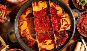 火鍋底料市場(chǎng)投資前景分析 中國(guó)火鍋底料行業(yè)重點(diǎn)企業(yè)分析