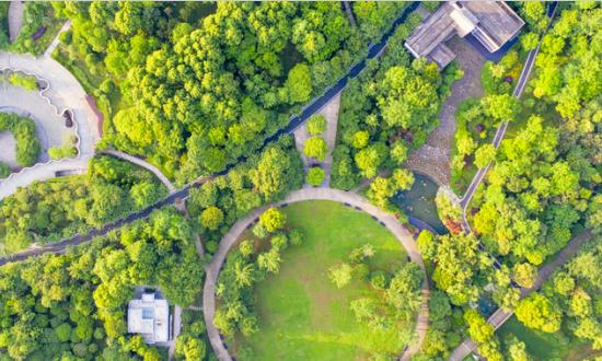 園林綠化工程投標(biāo)策略 2023園林綠化工程行業(yè)前景調(diào)查