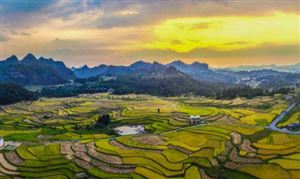 農(nóng)業(yè)產(chǎn)業(yè)化聯(lián)合體市場現(xiàn)狀及前景分析2023
