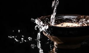 中國醬香型白酒行業(yè)市場分析2023