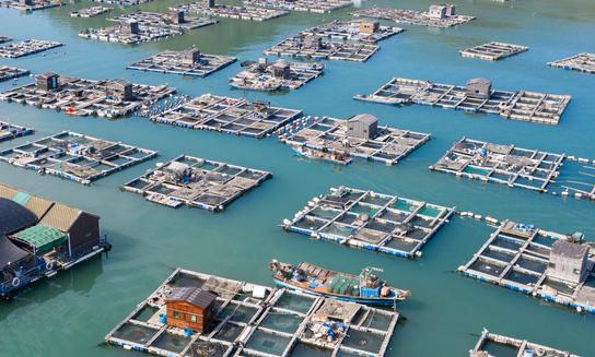 海洋養(yǎng)殖行業(yè)未來(lái)發(fā)展前景如何？2023年海洋養(yǎng)殖行業(yè)深度分析