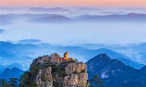旅游攝影市場發(fā)展趨勢及現狀分析2023