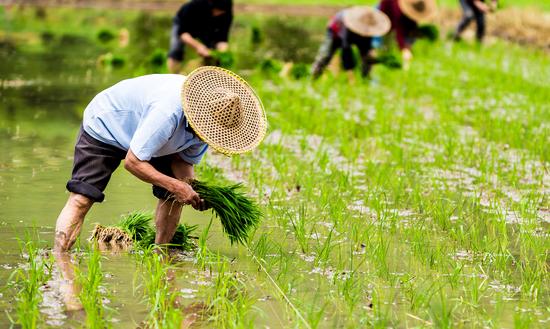 中國農(nóng)業(yè)碳中和技術(shù)行業(yè)現(xiàn)狀分析2023