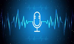智能語音行業(yè)市場(chǎng)分析報(bào)告：數(shù)字化轉(zhuǎn)型+下游需求旺盛