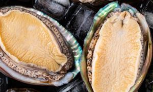日本部分產(chǎn)地鮑魚價格較去年同期降價30% 國內(nèi)鮑魚行業(yè)前景如何?