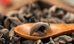 國內食用菌行業(yè)前景如何?2023食用菌行業(yè)研究報告