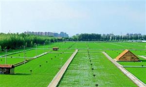 中國生態(tài)農(nóng)業(yè)行業(yè)發(fā)展前景及投資