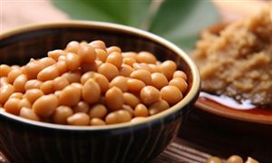 2023納豆行業(yè)發(fā)展分析 未來納豆市場規(guī)模預(yù)測