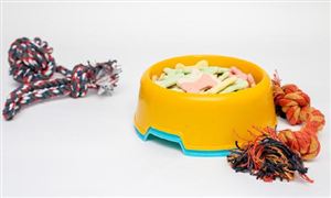 寵物飼料行業(yè)市場(chǎng)深度分析：全國(guó)寵物飼料產(chǎn)量達(dá)113萬(wàn)噸 寵物食品進(jìn)出口規(guī)模也在不斷擴(kuò)大