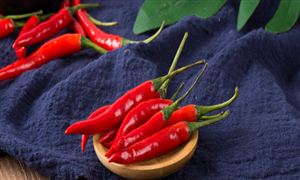 辣椒種植行業(yè)現(xiàn)狀機(jī)遇分析：產(chǎn)業(yè)風(fēng)險(xiǎn)較低蔬菜作物，具有廣闊發(fā)展前程