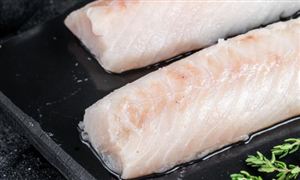 國(guó)內(nèi)鱈魚腸市場(chǎng)規(guī)模呈現(xiàn)出逐年增長(zhǎng)的趨勢(shì) 鱈魚腸行業(yè)市場(chǎng)價(jià)格分析