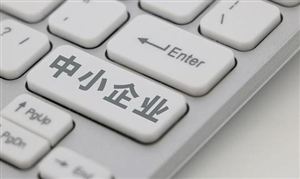 中國(guó)小微金融行業(yè)市場(chǎng)發(fā)展前瞻：促進(jìn)中小微企業(yè)穩(wěn)健高質(zhì)發(fā)展