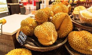 榴蓮行業(yè)市場(chǎng)分析：東南亞榴蓮消費(fèi)猛增，過(guò)去兩年中國(guó)進(jìn)口榴蓮占全球需求總量的91%