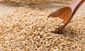 大豆深加工行業(yè)需求 未來大豆深加工市場發(fā)展趨向分析