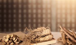 藥膳行業(yè)發(fā)展機遇深度分析2023