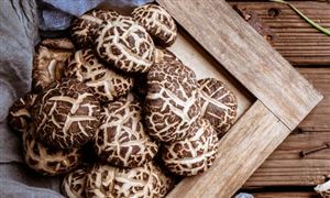 2023年食用菌養(yǎng)殖行業(yè)市場發(fā)展現(xiàn)狀：人工栽培食用菌產(chǎn)值達到2800億元
