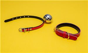 未來(lái)寵物用品市場(chǎng)如何 預(yù)計(jì)2024年國(guó)內(nèi)寵物用品市場(chǎng)分析