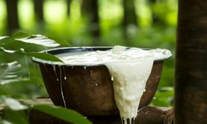 2023年中國橡膠行業(yè)發(fā)展趨勢和前景