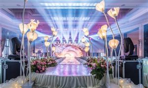 2024年婚慶行業(yè)市場遠景研究報告分析