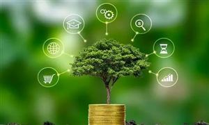 2024綠色金融行業(yè)市場分析：綠色金融引領(lǐng)銀行業(yè)發(fā)展新趨勢新潮流