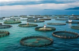 2023海洋漁業(yè)的創(chuàng)新趨勢(shì)與發(fā)展模式研究