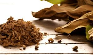煙草行業(yè)的數(shù)字化轉(zhuǎn)型和智能制造需求將推動整個行業(yè)向更加智能化、自動化、高效化方向發(fā)展