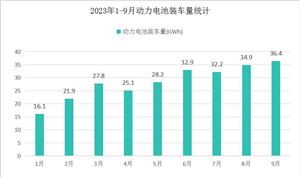 2023年動(dòng)力電池裝車情況分析報(bào)告：磷酸鐵鋰電池在市場(chǎng)中占據(jù)主導(dǎo)地位