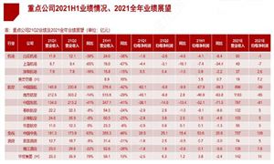 機(jī)場(chǎng)酒店行業(yè)市場(chǎng)發(fā)展機(jī)遇深度分析2024