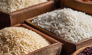 再創(chuàng)歷史新高 我國糧食產量連續(xù)9年穩(wěn)定在1.3億斤以上 糧食行業(yè)市場深度分析報告