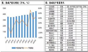 氯堿行業(yè)市場調(diào)查分析報(bào)告2024