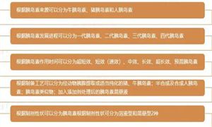 2024胰島素行業(yè)市場發(fā)展前景如何?胰島素行業(yè)市場機(jī)遇分析