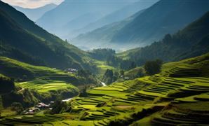 大同又出圈了 這個春節(jié)大不同 老家游火了 鄉(xiāng)村旅游產(chǎn)業(yè)現(xiàn)狀及未來發(fā)展趨勢分析報告
