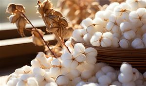 繭絲生產(chǎn)行業(yè)發(fā)展分析及供需趨勢