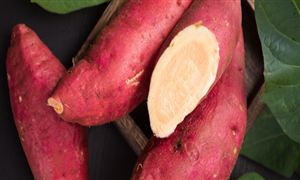 紅薯食品行業(yè)市場(chǎng)現(xiàn)狀及機(jī)遇分析