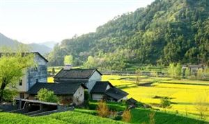 2024鄉(xiāng)村旅游產業(yè)研究、發(fā)展趨勢與建議