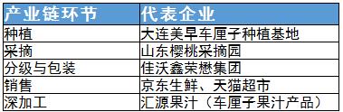 車?yán)遄赢a(chǎn)業(yè)鏈及其代表企業(yè)分析