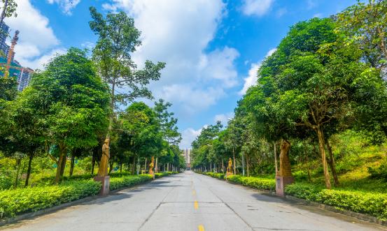 社區(qū)服務(wù)行業(yè)報(bào)告 社區(qū)服務(wù)行業(yè)政策環(huán)境分析