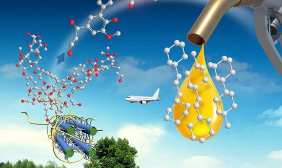 2024航空生物燃油行業(yè)發(fā)展前景投資：我國可持續(xù)航煤生物燃料實現(xiàn)量產(chǎn)