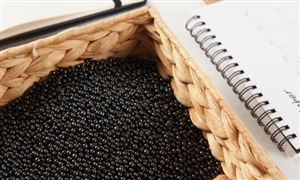 活性炭產(chǎn)業(yè)發(fā)展現(xiàn)狀及市場供需格局、機遇分析2024