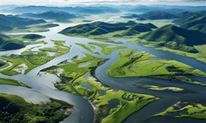 生態(tài)修復行業(yè)發(fā)展現狀及市場規(guī)模、“十四五”規(guī)劃分析2024