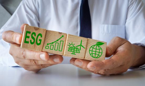 2024可持續(xù)金融行業(yè)未來(lái)發(fā)展空間及機(jī)遇分析