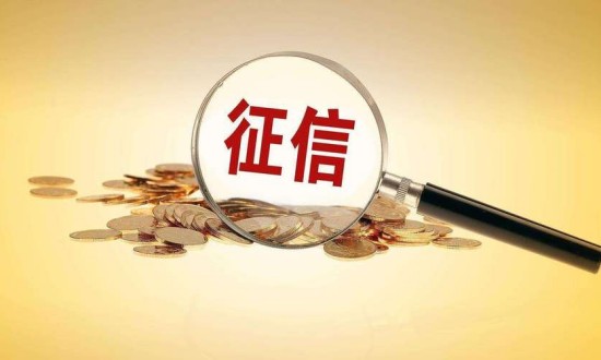 2023年中國征信服務(wù)行業(yè)發(fā)展現(xiàn)狀、競爭格局及發(fā)展前景趨勢分析
