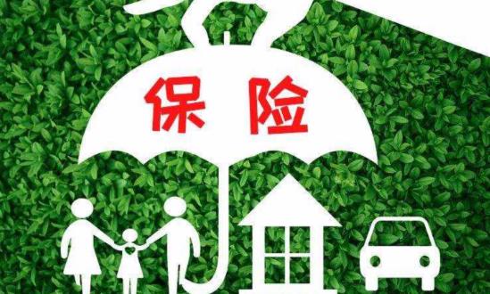 旅游保險行業(yè)發(fā)展現(xiàn)狀分析、市場需求與機(jī)遇
