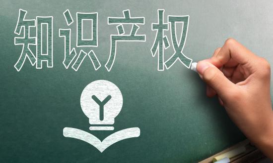2024中國知識產(chǎn)權服務行業(yè)市場分析及發(fā)展前景預測