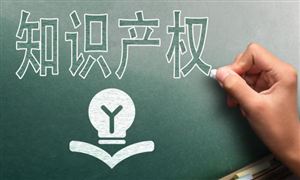2024中國知識產(chǎn)權(quán)服務(wù)行業(yè)市場分析及發(fā)展前景預(yù)測