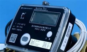行業(yè)研究：預(yù)計2024年中國熱量表行業(yè)市場規(guī)模同比增11.4%